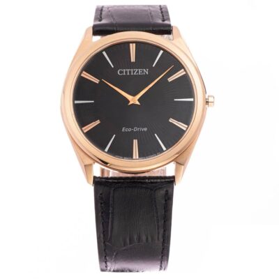 Ảnh sản phẩm Citizen 38.4mm Nam AR3073-06E