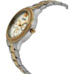 Citizen 36mm Nữ ED8154-52D - Ảnh 3