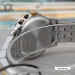 Citizen 27mm Nữ EQ0608-55A - Ảnh 4