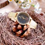 Citizen 26mm Nữ EZ7002-54E - Ảnh 2