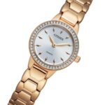 Citizen 24mm Nữ EZ7013-58A - Ảnh 3