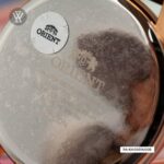 Orient 35mm Nữ RA-KA0001A30B (RA-KA0001A00B / RA-KA0001A10B) - Ảnh 4
