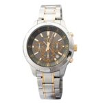 Seiko 43mm Nam SKS609P1 - Ảnh 1