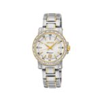 Seiko Nữ SXDG58 - Ảnh 1