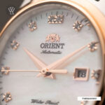 Orient 31mm Nữ TNR1Q001W0 (FNR1Q001W0) - Ảnh 4