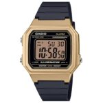 Casio 43.1 × 41.2 mm Nam W-217HM-9AVDF - Ảnh 1