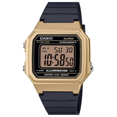Ảnh sản phẩm Casio 43.1 × 41.2 mm Nam W-217HM-9AVDF