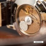 Orient 41mm Nam TER2700HW0 (SER2700HW0) - Ảnh 4