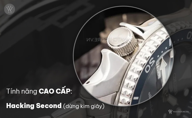 Seiko SRPD51K1 tính năng Hacking Second