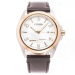 Citizen 43mm Nam AW7056-11A - Ảnh 1