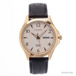 Citizen 41mm Nam BF2003-25A - Ảnh 1