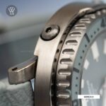 Seiko 43.2mm Nam SRPE31J1 - Ảnh 4