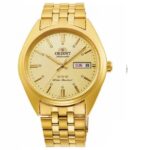 Orient 39mm Nam RA-AB0E04G3BD (RA-AB0E04G1BD) - Ảnh 1
