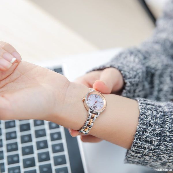 Swd09001v0 2 1712568454