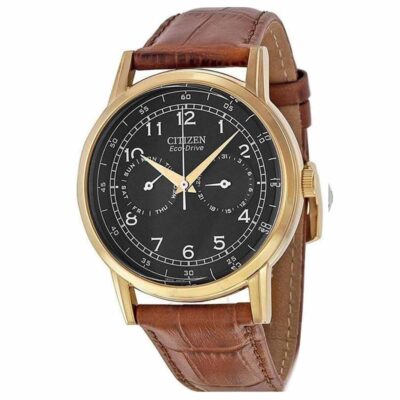 Ảnh sản phẩm Citizen 42mm Nam AO9003-08E