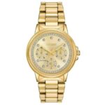 Citizen 36mm Nữ FD2042-51P - Ảnh 1