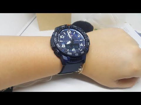 Prt B50 2dr 7 1712569809