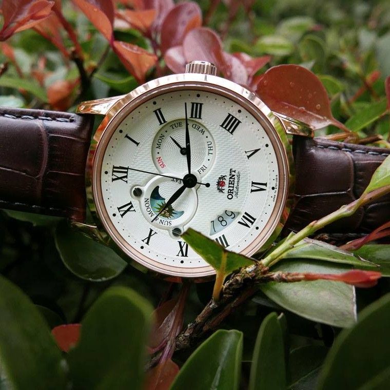 Set0t001w0 3 1712569555