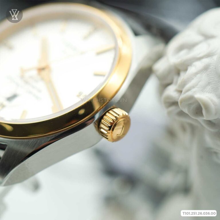 T101 251 26 036 00 5 1640667474802 1712571595