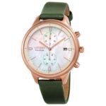 Citizen 39mm Nữ FB2008-01D - Ảnh 1