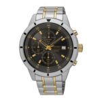 Seiko 43mm Nam SKS565P1 - Ảnh 1