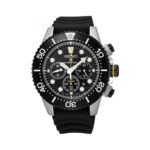 Seiko 43mm Nam SSC021P1 - Ảnh 1