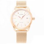Citizen 34mm Nữ FE6083-72A - Ảnh 1