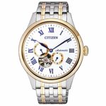 Citizen 40mm Nam NP1026-86A - Ảnh 1