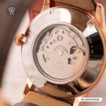 Orient 42.5mm Nam RA-AK0007S30B (RA-AK0007S10B) - Ảnh 8