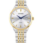 Citizen 41.5mm Nam DZ0064-52A - Ảnh 1
