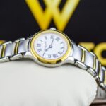 Frederique Constant 26.5mm Nữ FC-200M1ER3B - Ảnh 3