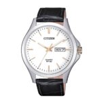 Citizen 41mm Nam BF2009-11A - Ảnh 1