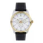 Citizen 42mm Nam AG8344-06A - Ảnh 1