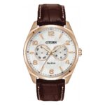 Citizen 43mm Nam AO9023-01A - Ảnh 1