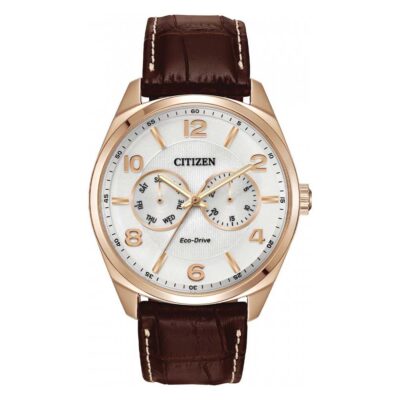 Ảnh sản phẩm Citizen 43mm Nam AO9023-01A
