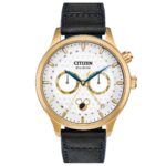 Citizen 42mm Nam AP1058-11W - Ảnh 1