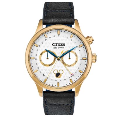 Ảnh sản phẩm Citizen 42mm Nam AP1058-11W