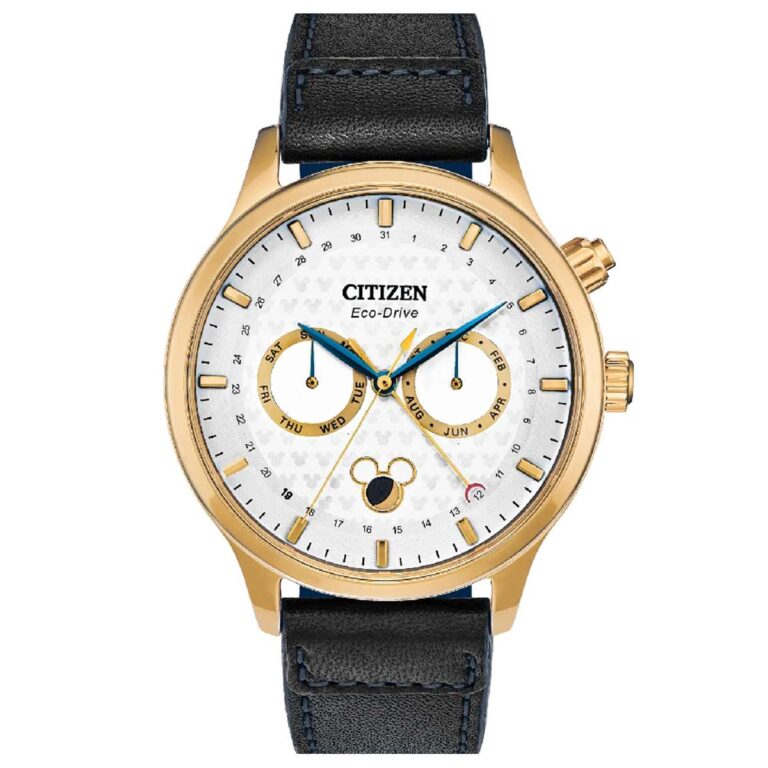 Citizen 42mm Nam AP1058-11W