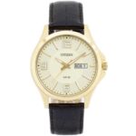 Citizen 40mm Nam BF2003-09P - Ảnh 1