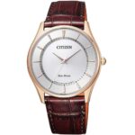 Citizen 38mm Nam BJ6482-04A - Ảnh 1