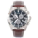 Citizen 43mm Nam BL5551-06L - Ảnh 1