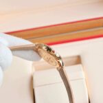 Frederique Constant 30mm Nữ FC-206MPWD1SD9 - Ảnh 6