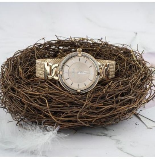 Fl 1 10116 5 3 1638324161921 1712575212