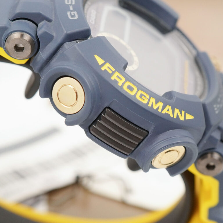 Gwf D1000nv 2dr 4 1725850812