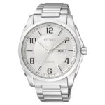 Citizen 43mm Nam NP4020-51A - Ảnh 1