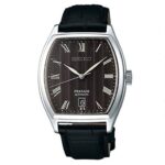 Seiko 45.7mm Nam SARY113J1 - Ảnh 1