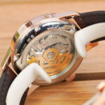 Seiko 40.5mm Nam SARY132 - Ảnh 5