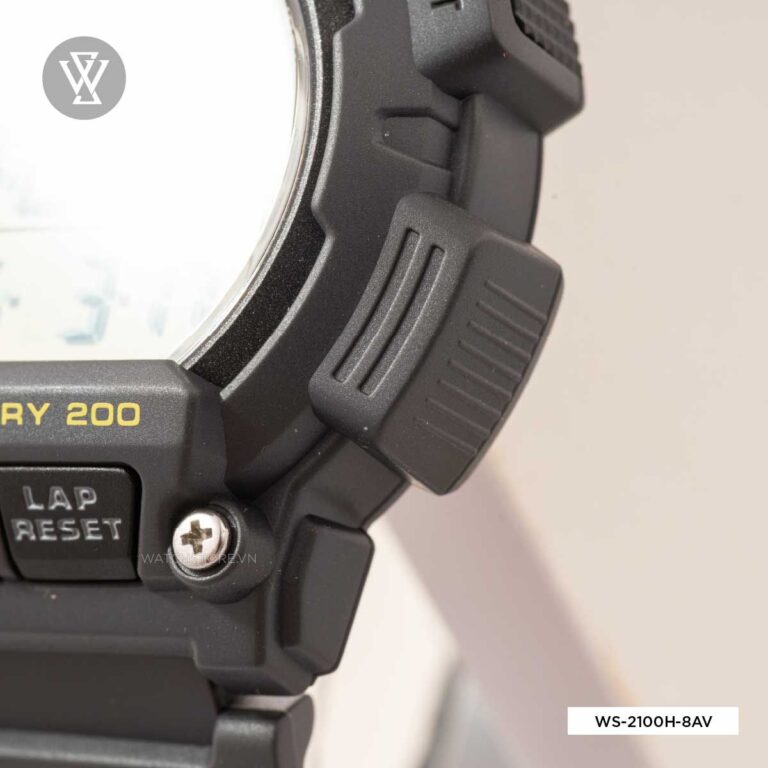 Ws 2100h 8av 5 1642215883698 1712578111