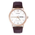 Citizen 37mm Nam BM9012-02A - Ảnh 1