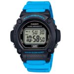 Casio 47mm Nam W-219H-2A2VDF - Ảnh 1